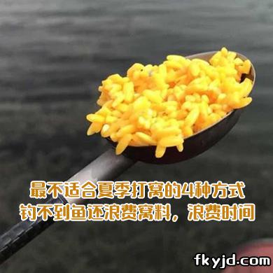 最不适合夏季打窝的4种方式 钓不到鱼还浪费窝料 浪费时间