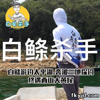 白条杀手 白鲦游钓太平湖，奔波三地探钓，终遇西山大黄尾