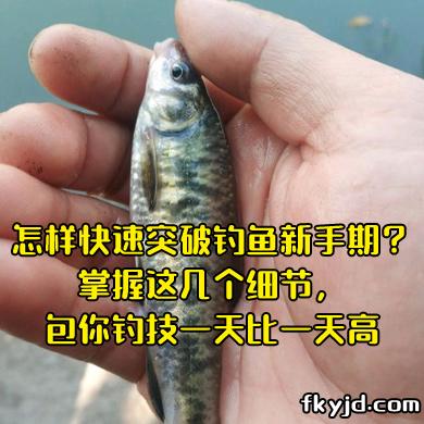 怎样快速突破钓鱼新手期？掌握这几个细节，包你钓技一天比一天高