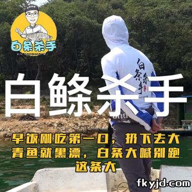 白条杀手 早饭刚吃第一口，扔下去大青鱼就黑漂，白条大喊别跑这条大