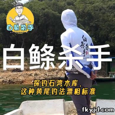 白条杀手 探钓石湾水库，这种黄尾钓法漂相标准