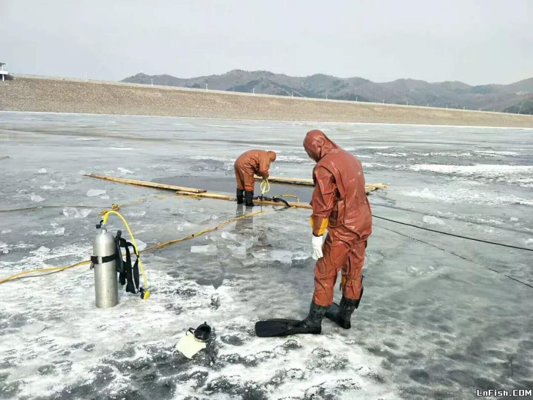 【铁岭柴河水库又掉汽车】潜水队员曾下水打捞，没好使！