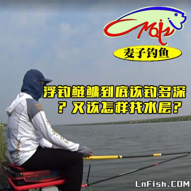 麦子钓鱼 浮钓鲢鳙到底该钓多深？又该怎样找水层？